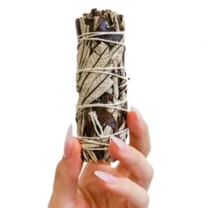 Hot diseno Living California Yerba Santa And White Sage Bundles - 4" Vacuum Packed Fixed Size - GlowEssence Care - Embrace the Essence of Radiance with Premium Skincare Solutions
